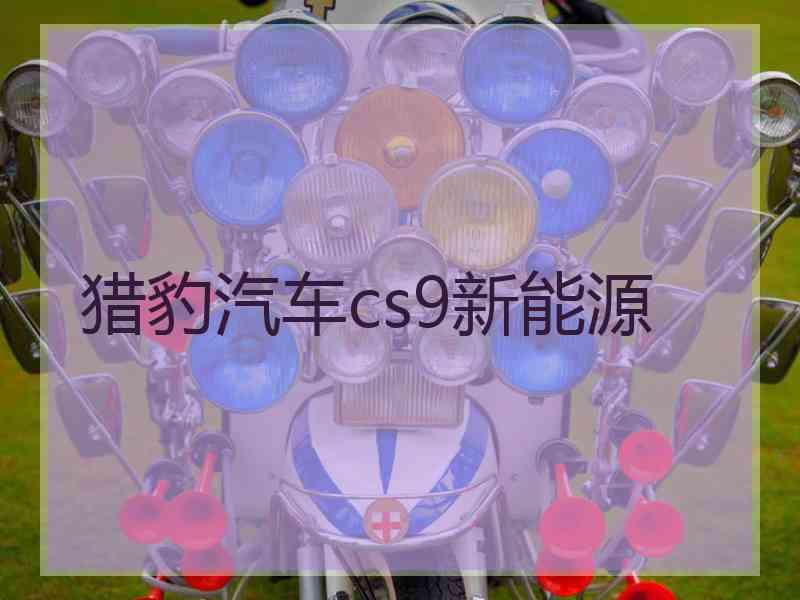 猎豹汽车cs9新能源