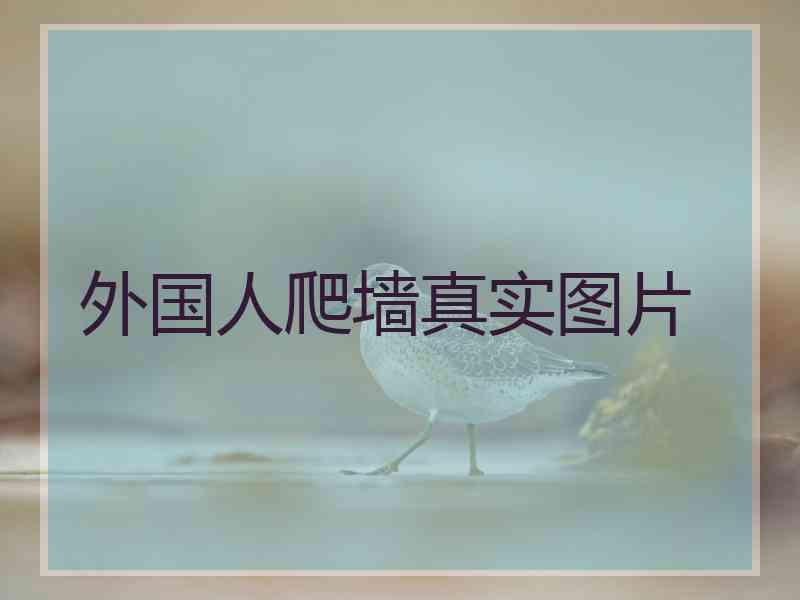 外国人爬墙真实图片
