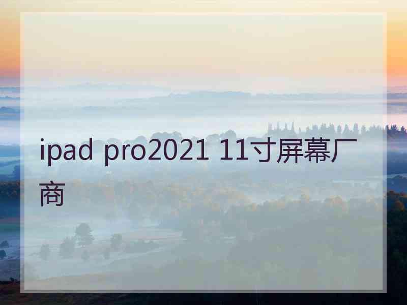 ipad pro2021 11寸屏幕厂商