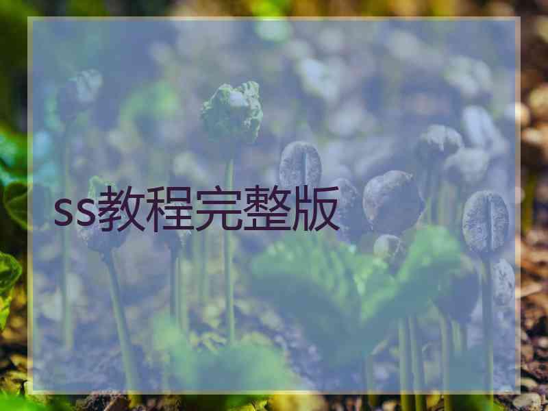 ss教程完整版