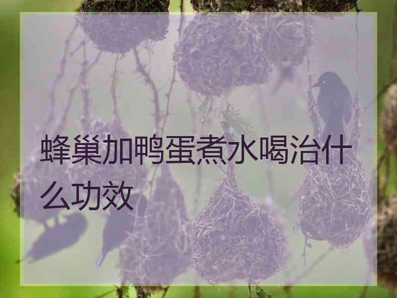 蜂巢加鸭蛋煮水喝治什么功效