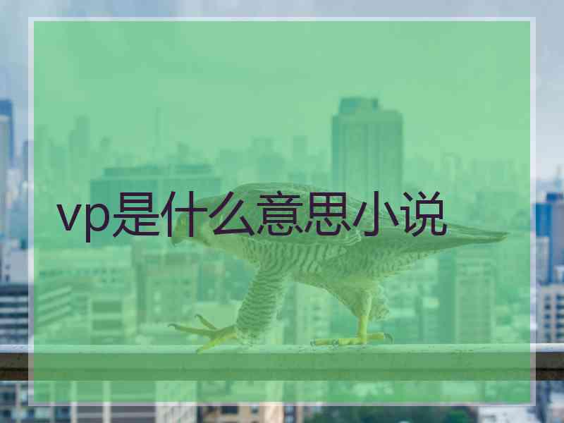 vp是什么意思小说