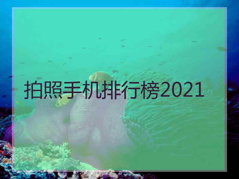 拍照手机排行榜2021