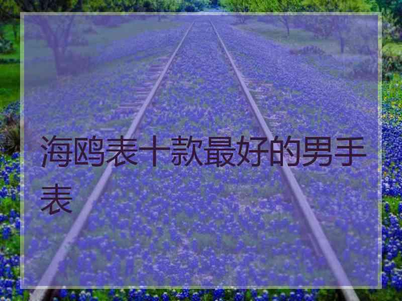 海鸥表十款最好的男手表