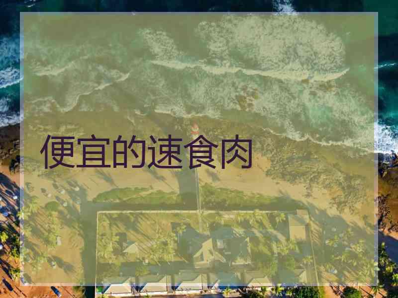 便宜的速食肉