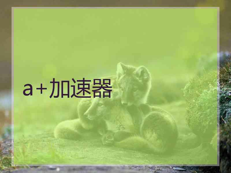 a+加速器