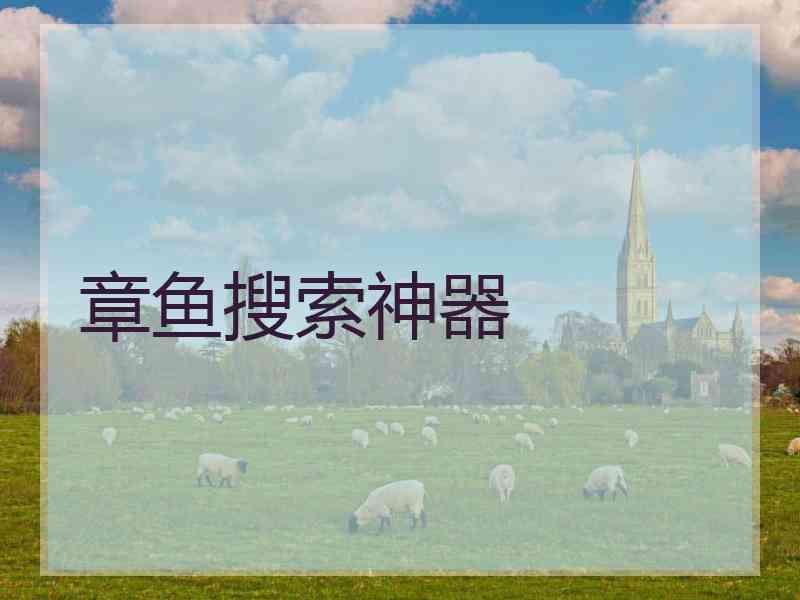 章鱼搜索神器