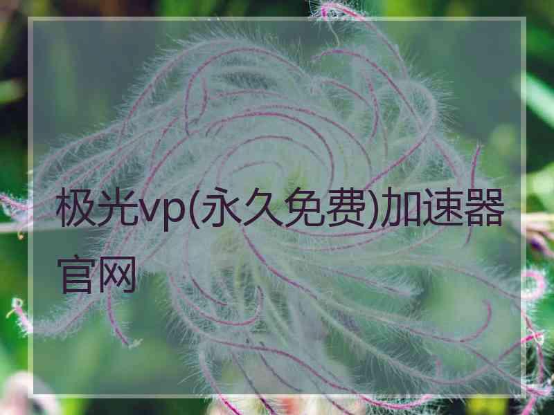 极光vp(永久免费)加速器官网