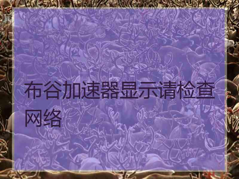 布谷加速器显示请检查网络