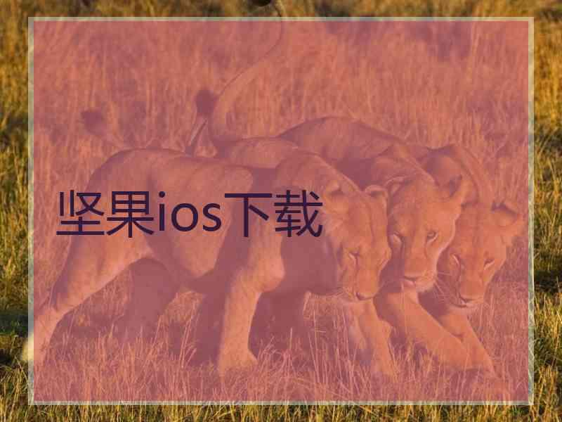 坚果ios下载