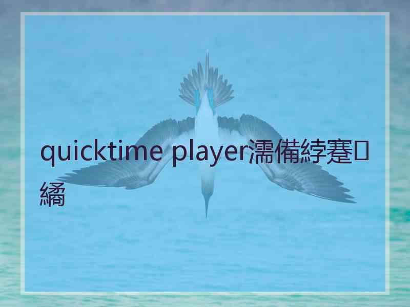 quicktime player濡備綍蹇繘