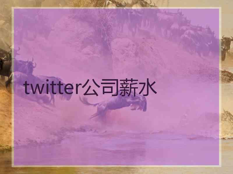 twitter公司薪水