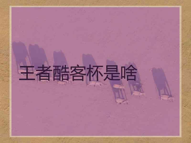 王者酷客杯是啥