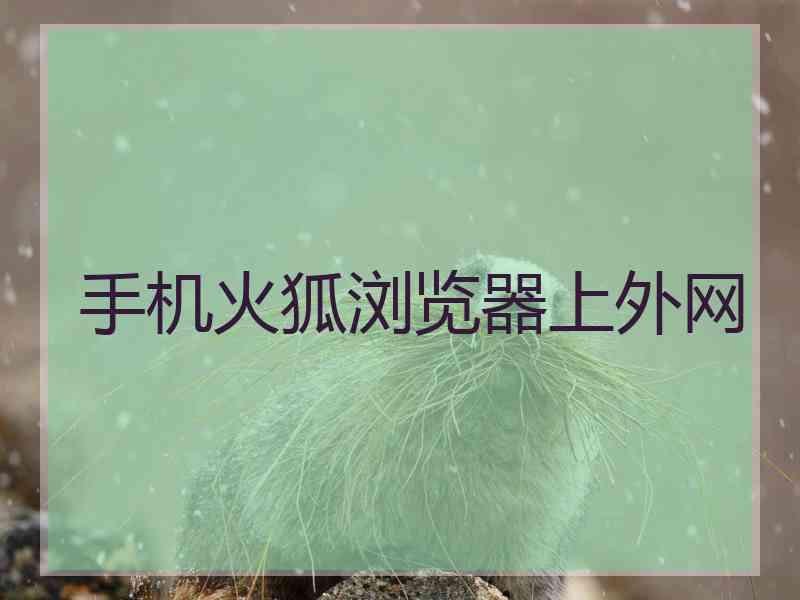 手机火狐浏览器上外网