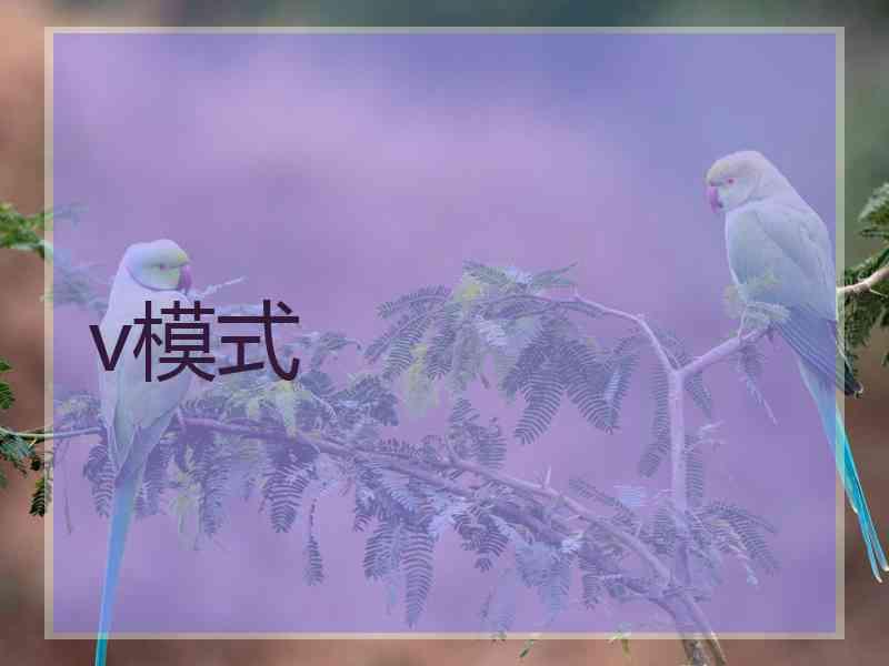 v模式