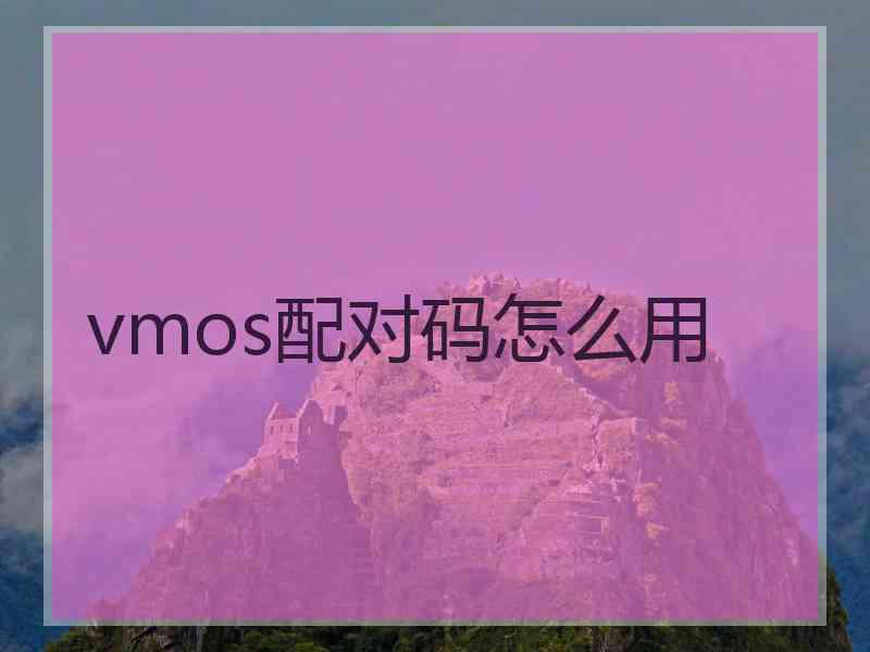 vmos配对码怎么用