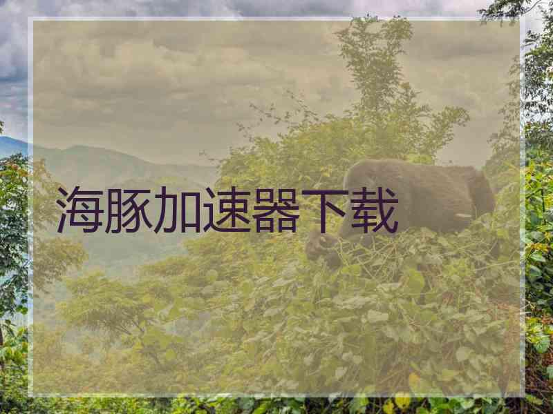 海豚加速器下载