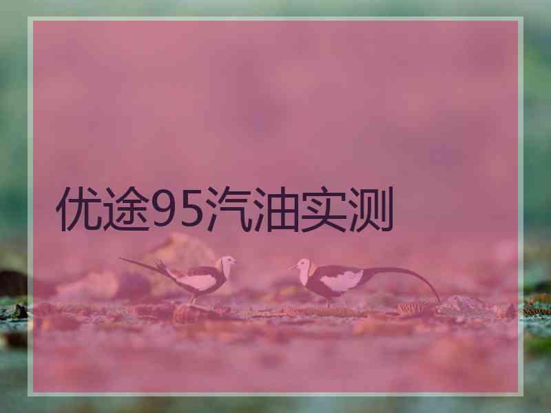 优途95汽油实测