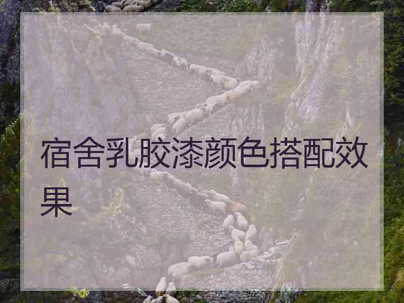 宿舍乳胶漆颜色搭配效果