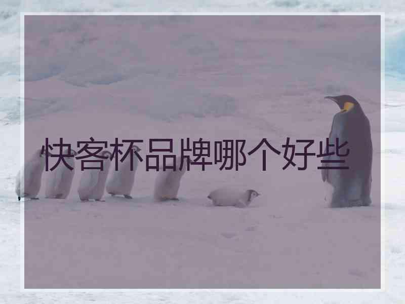 快客杯品牌哪个好些