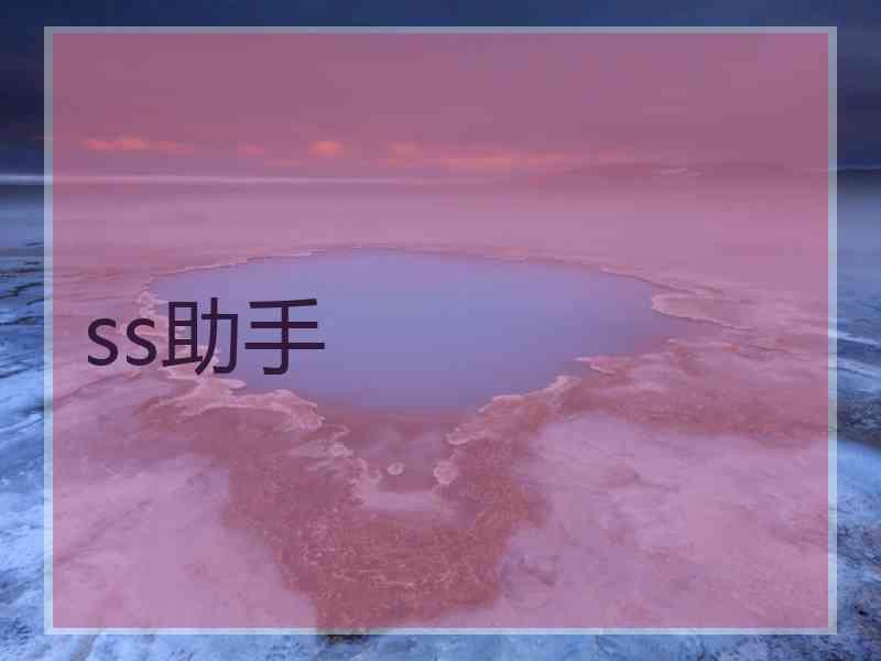 ss助手