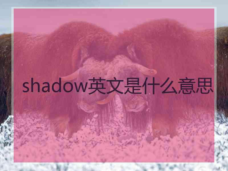 shadow英文是什么意思