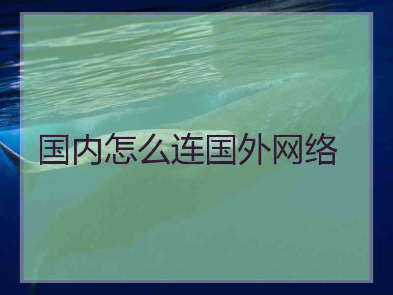 国内怎么连国外网络