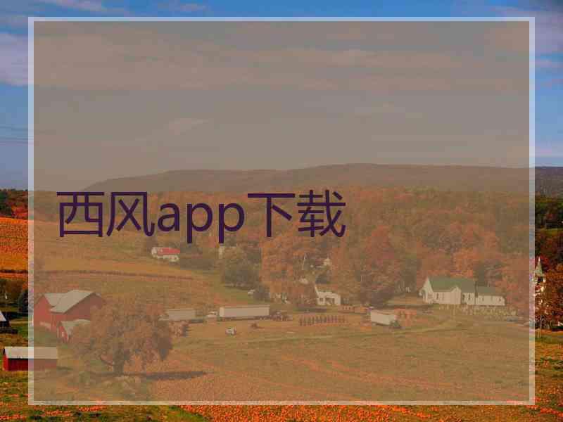 西风app下载
