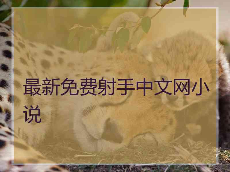 最新免费射手中文网小说