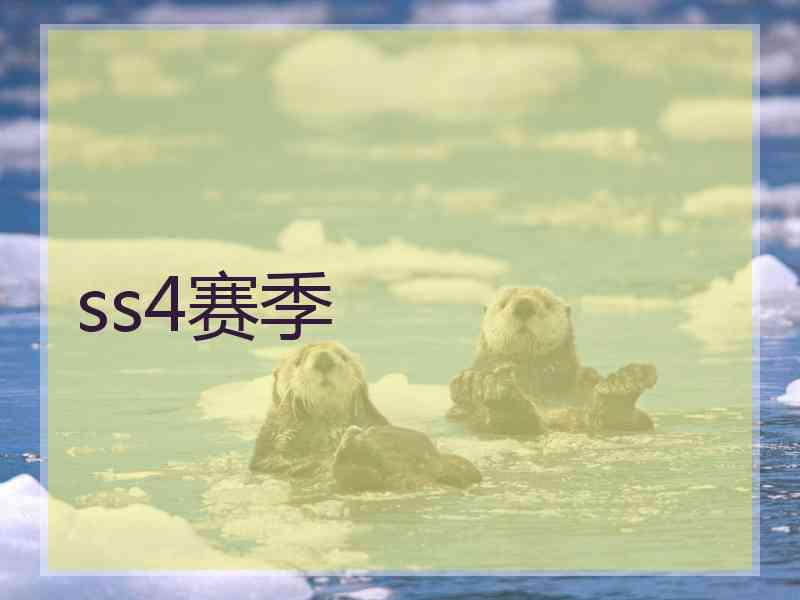 ss4赛季