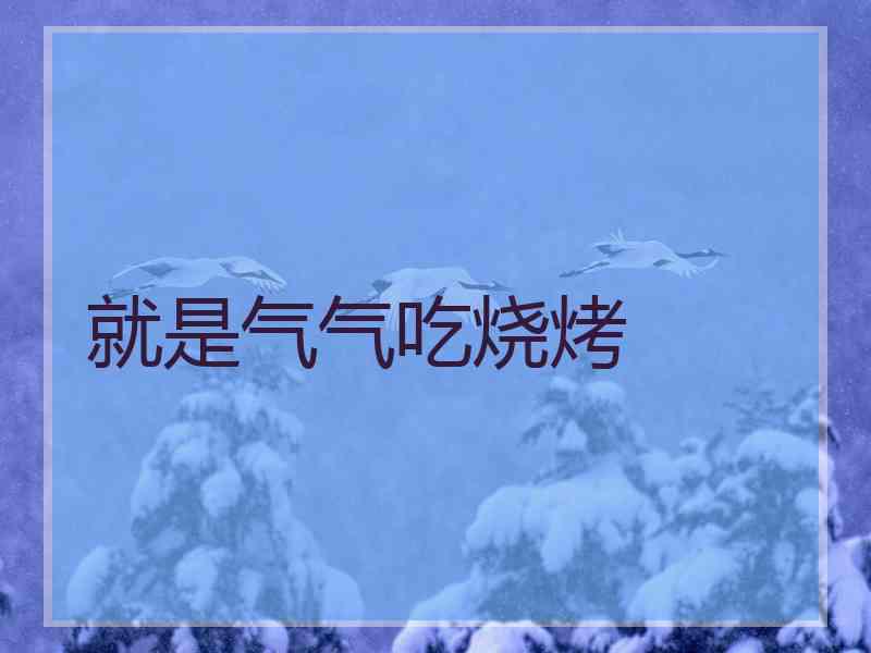 就是气气吃烧烤