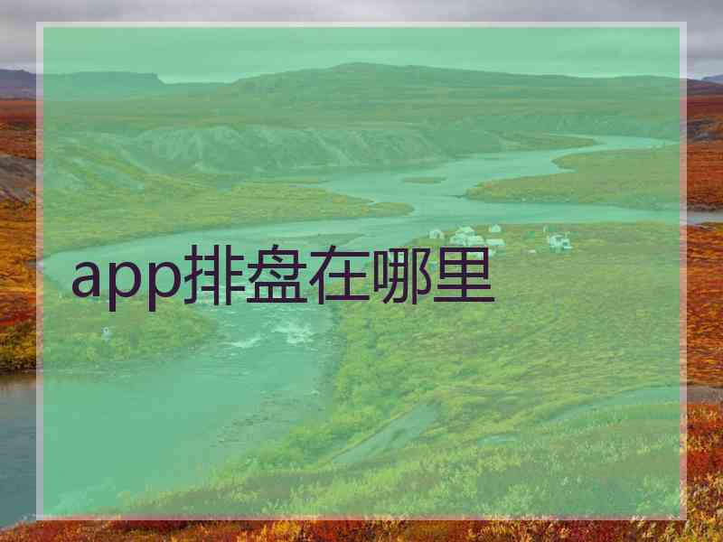 app排盘在哪里