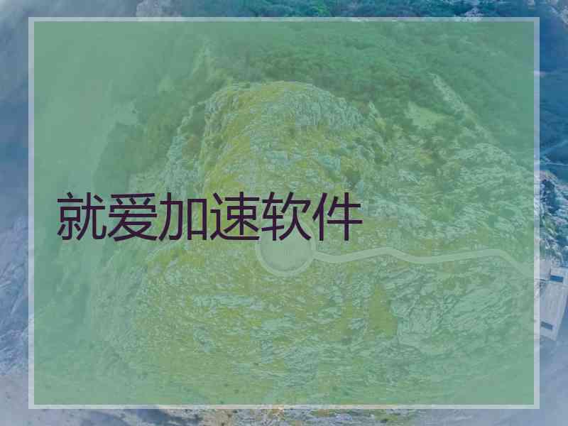 就爱加速软件