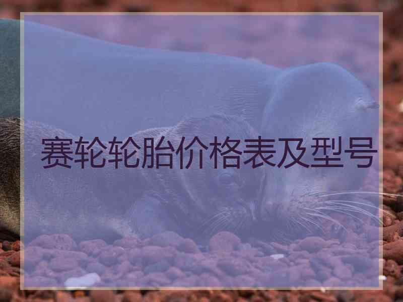 赛轮轮胎价格表及型号