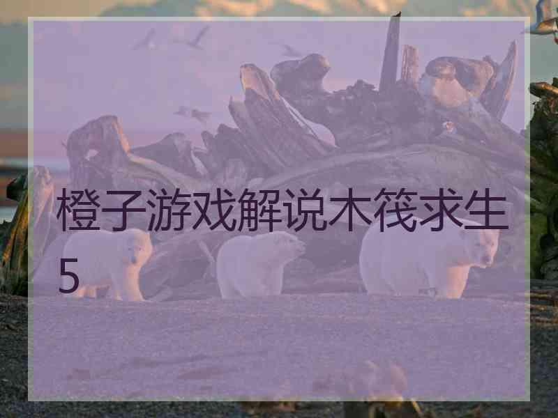 橙子游戏解说木筏求生5