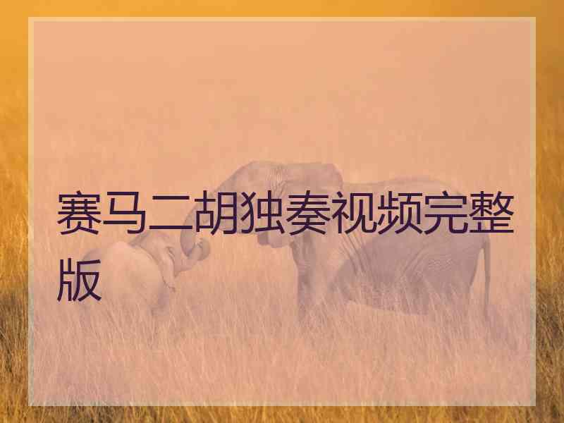 赛马二胡独奏视频完整版