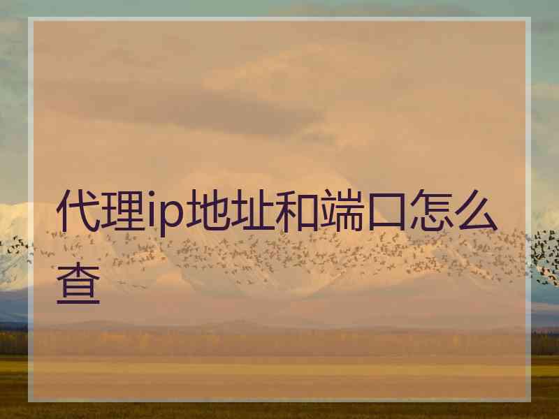 代理ip地址和端口怎么查