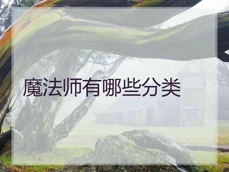 魔法师有哪些分类