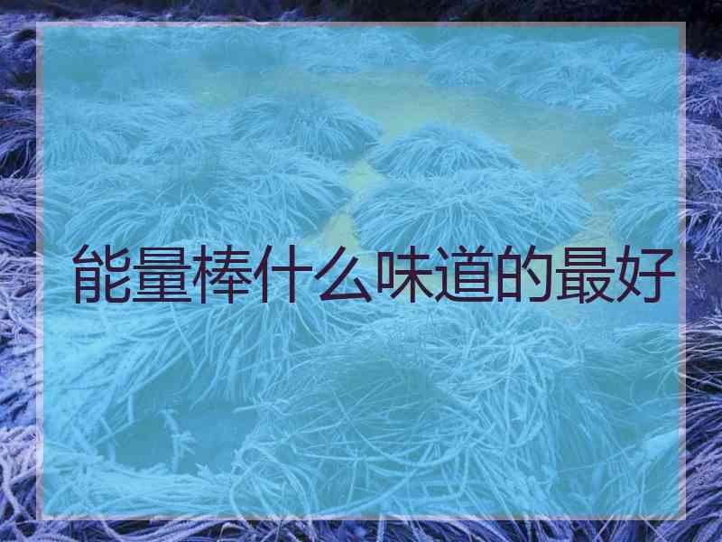 能量棒什么味道的最好
