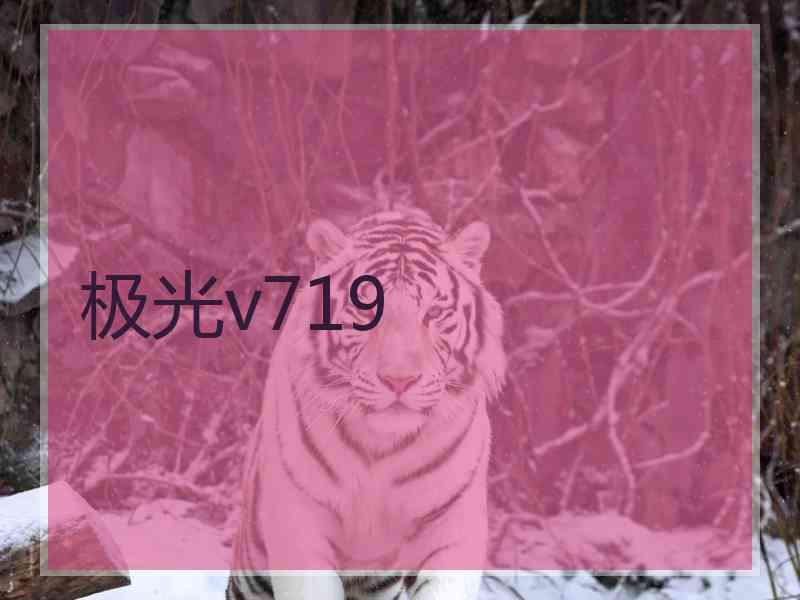 极光v719