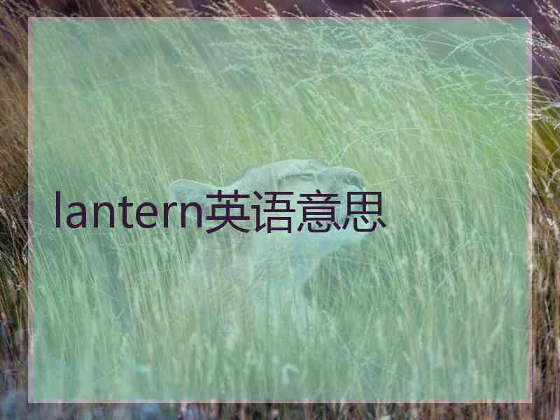 lantern英语意思