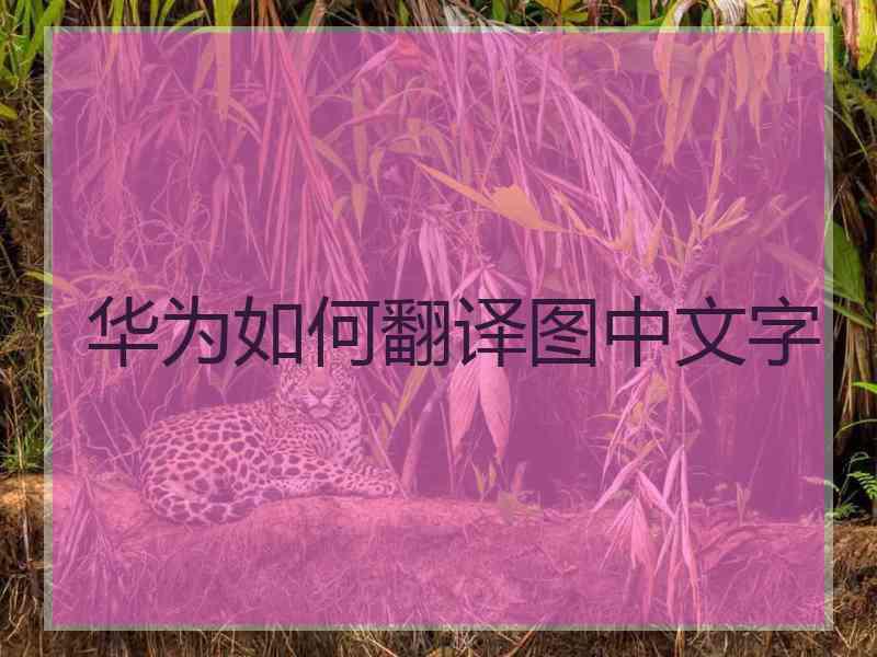 华为如何翻译图中文字