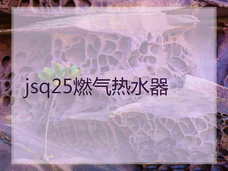 jsq25燃气热水器