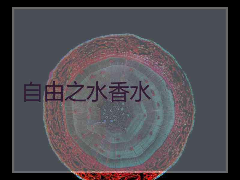 自由之水香水