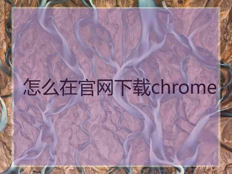 怎么在官网下载chrome