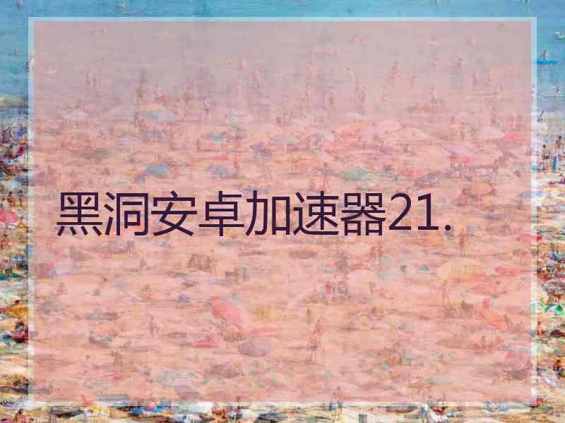黑洞安卓加速器21.