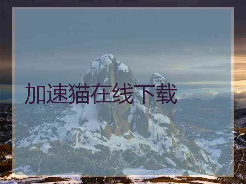 加速猫在线下载