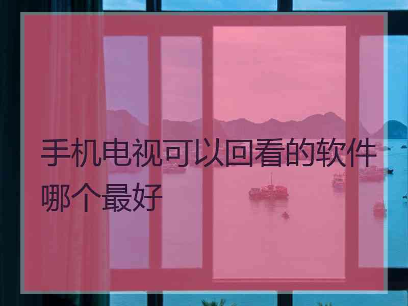 手机电视可以回看的软件哪个最好