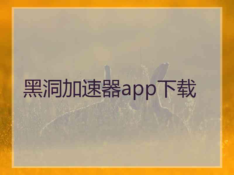 黑洞加速器app下载