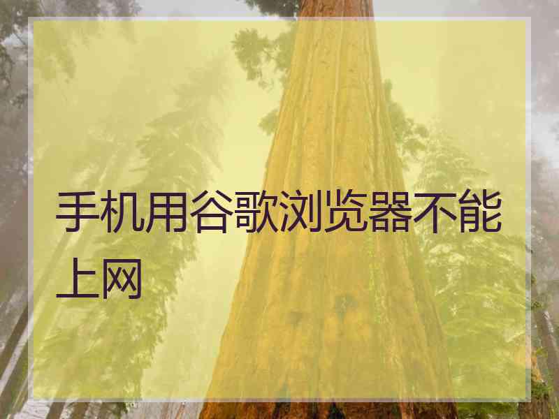 手机用谷歌浏览器不能上网